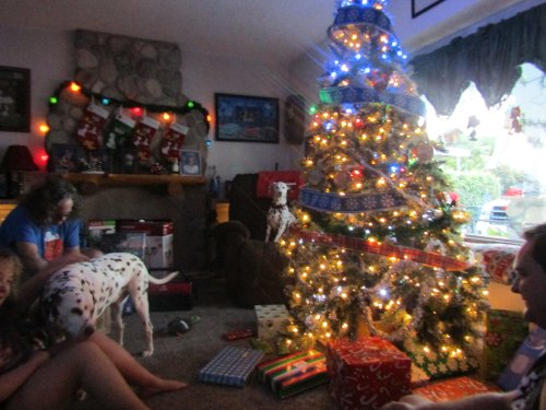 Family and Christmas carnage 